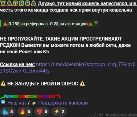 Предложение BERKUT о выплатах за рефералов и активацию кошелька
