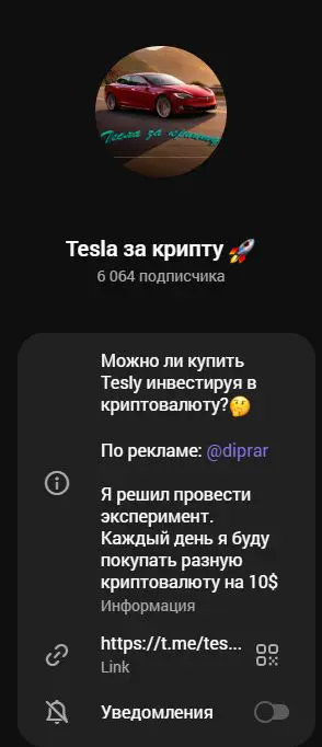 Карточка Telegram-канала Tesla за крипту с аватаром и описанием