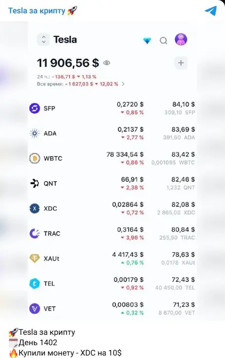 Покупка XDC на 1402-й день и скрин портфеля Tesla с отрицательным результатом
