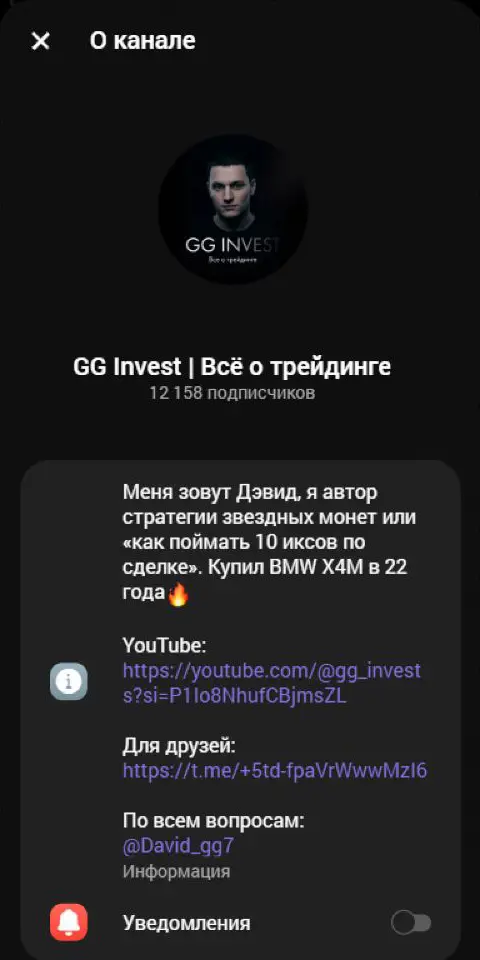 Карточка GG Invest с описанием проекта и контактом автора